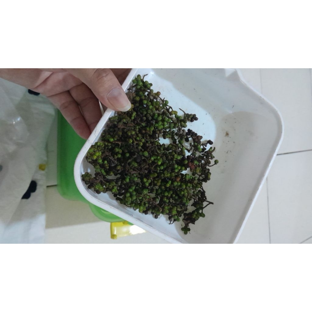 Andaliman (Merica khas Batak)