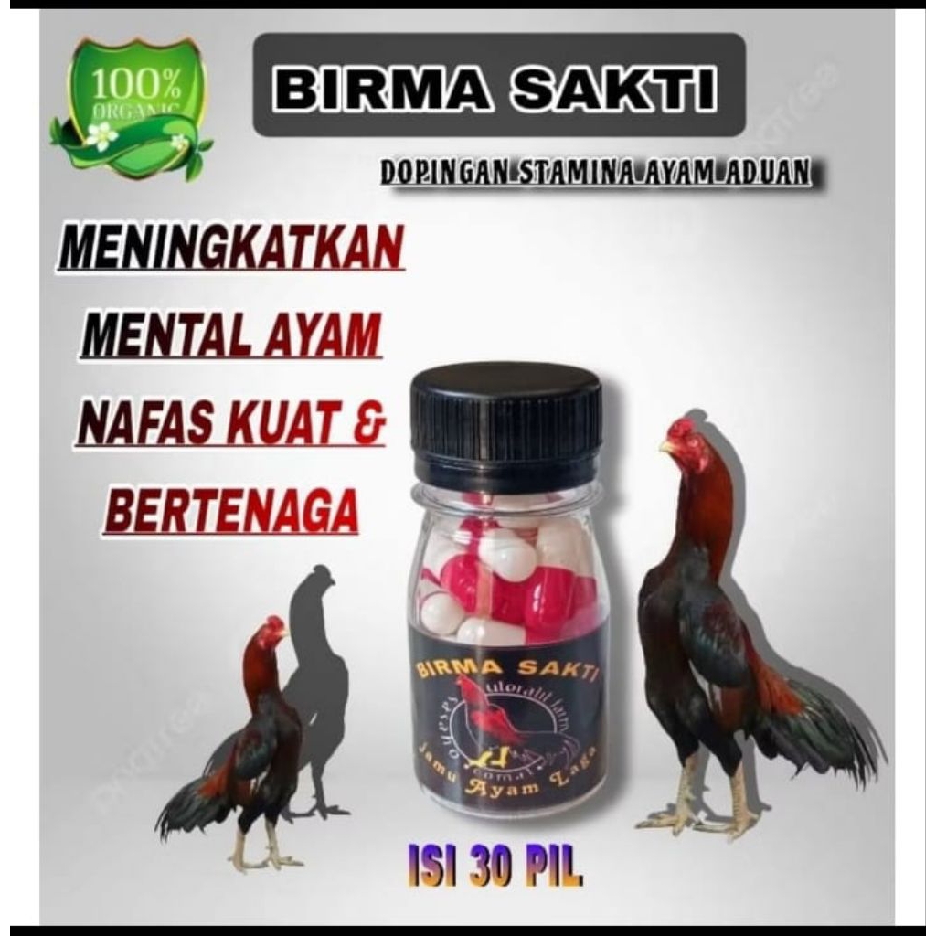 PROMO JAMU AYAM ADUAN BIRMA SAKTI NAFAS TERATUR PUKULAN KENCANG ISI 30 KAPSUL EXTRA JP MASTER LAGA J