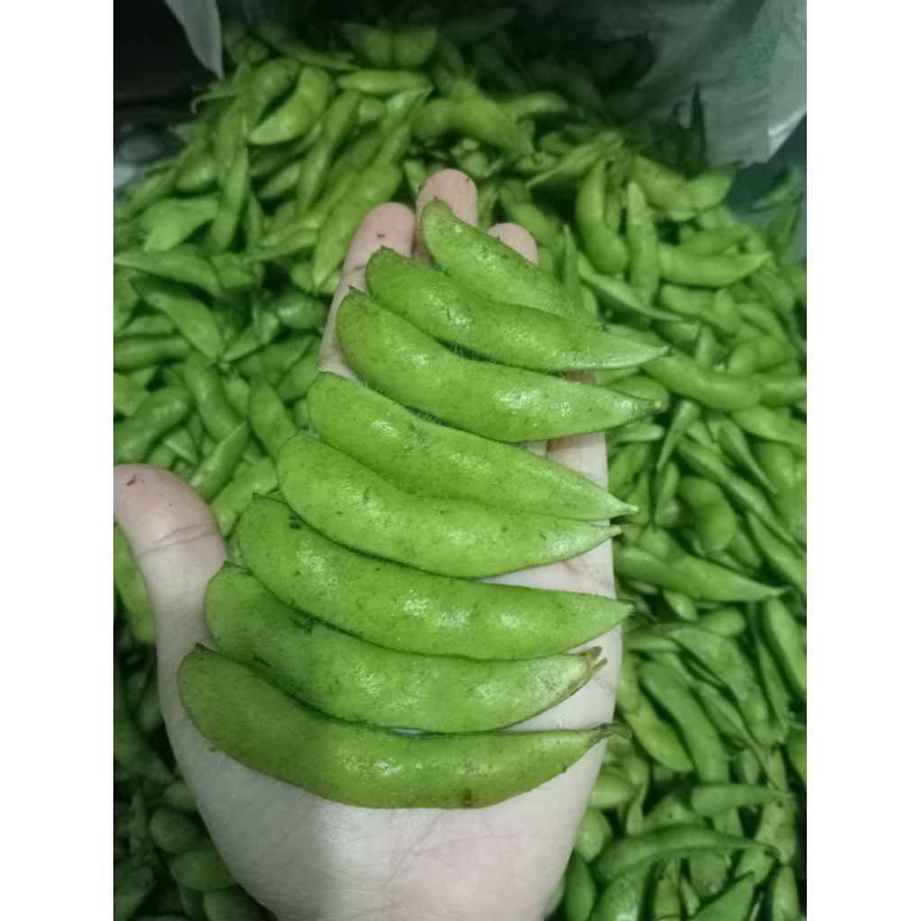 Edamame Fresh