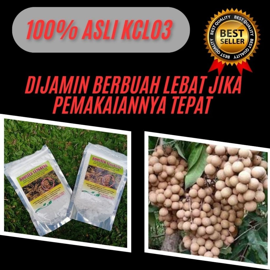 Boster Kelengkeng Nusantara, Boster Kelengkeng, Boster Kelengkeng