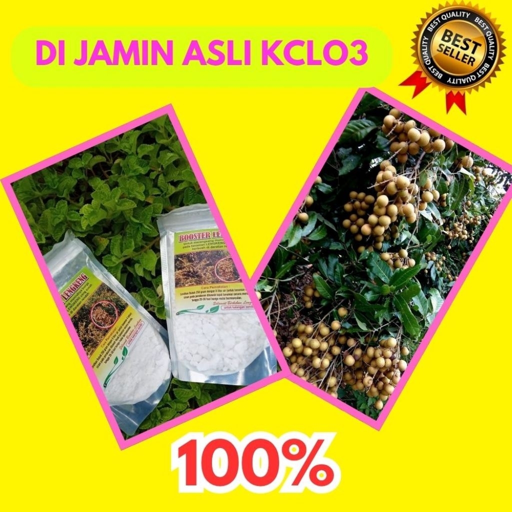 Boster Kelengkeng Buat Kelengkeng, Boster Kelengkeng Cair, Boster Kelengkeng Itoh