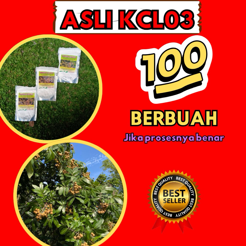 Booster Kelengkeng Buat Kelengkeng, Booster Kelengkeng Cair, Booster Kelengkeng Itoh