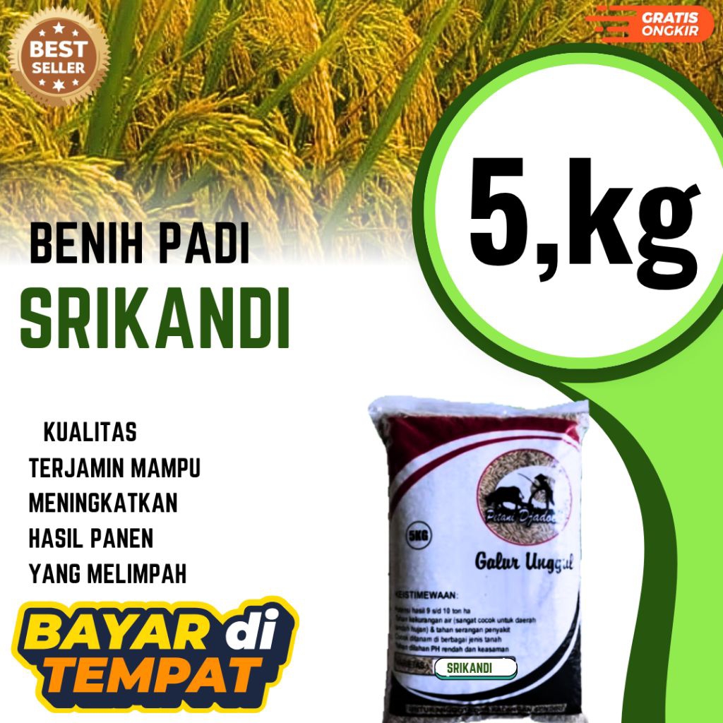 BENIH PADI SRIKANDI KEMASAN 5 kg BENIH PADI SUPER UNGGUL HST