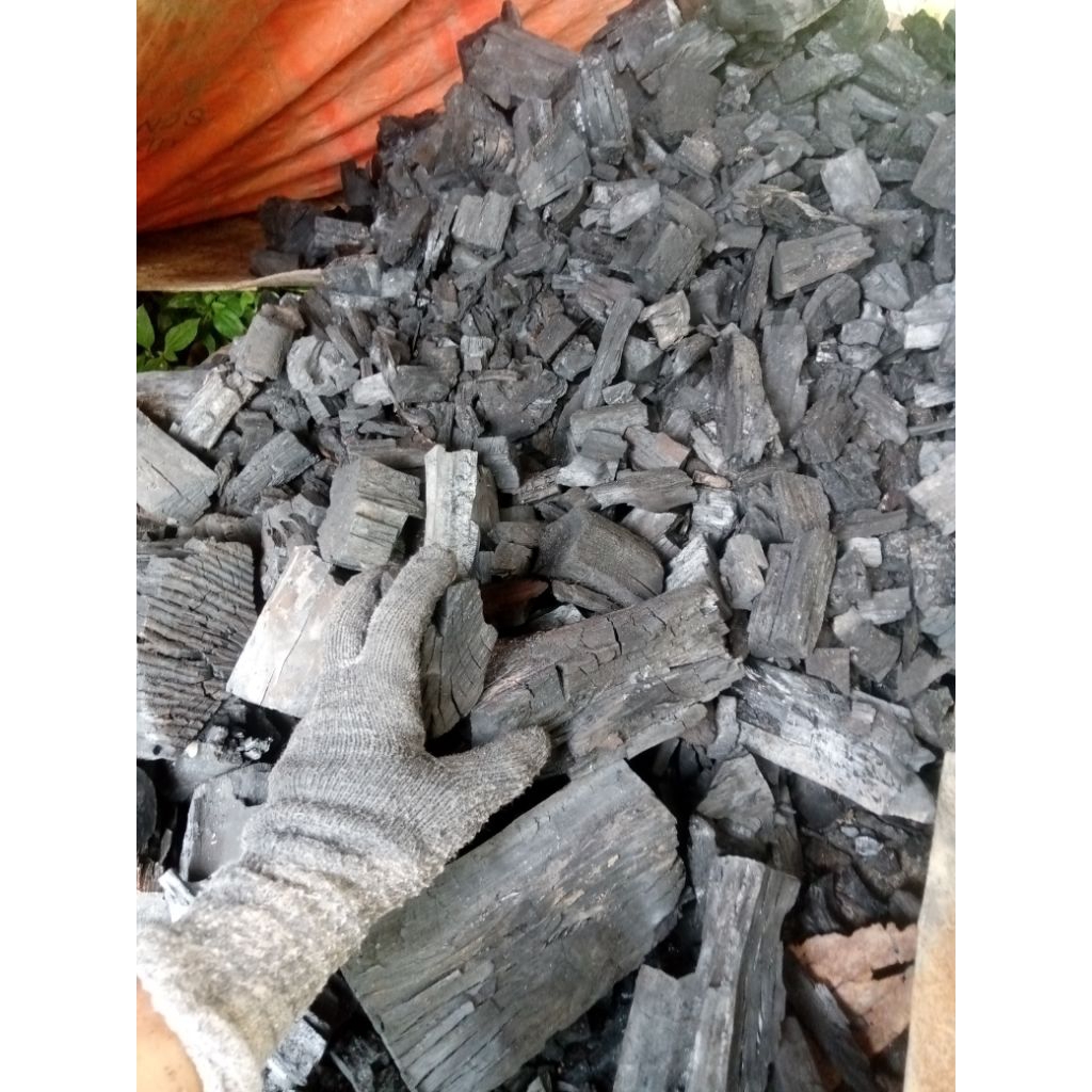 arang kayu keras