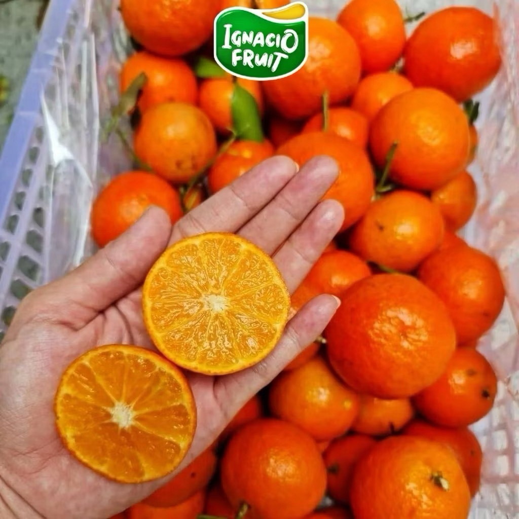 JERUK SANTANG MADU 1KG