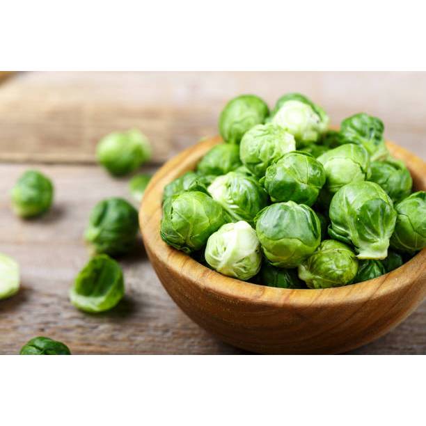 GARANSI - Bibit Kubis Mini