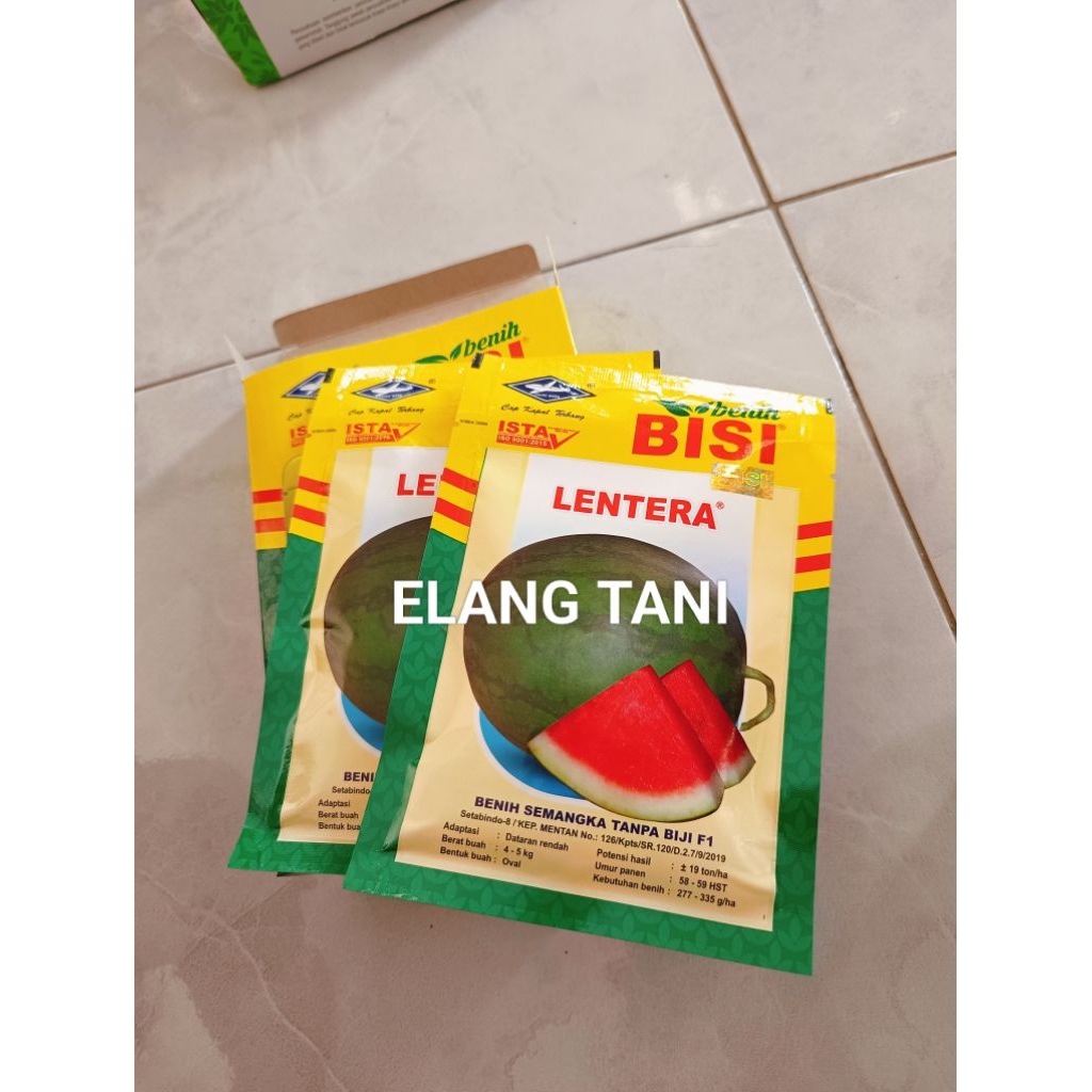 Benih Bibit Semangka  Non Biji Lentera F1 (Tipe Lonjong perawatan mudah) Isi 20 Gram Kadaluarsa 2026