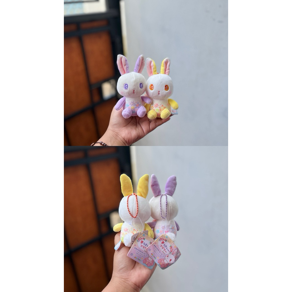 Kelinci Amuse,Ganci Kelinci Amuse,Ganci Amuse