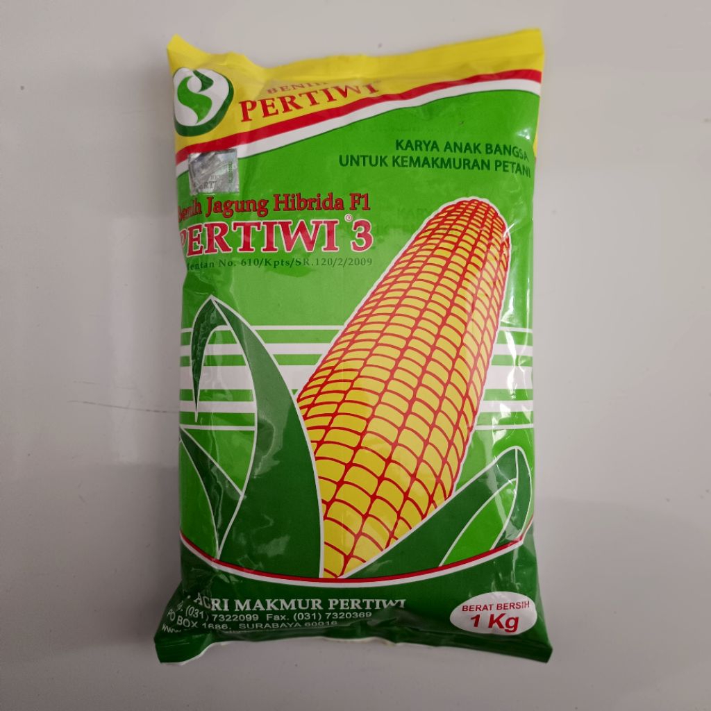 Benih Jagung Pertiwi 3 1kg Benih Jagung Hibrida