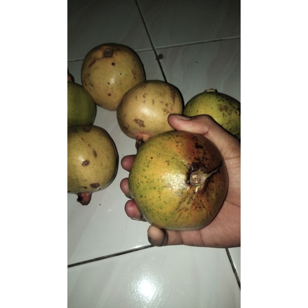 buah delima 1 kg ukuran sedang/kecil/besar campur