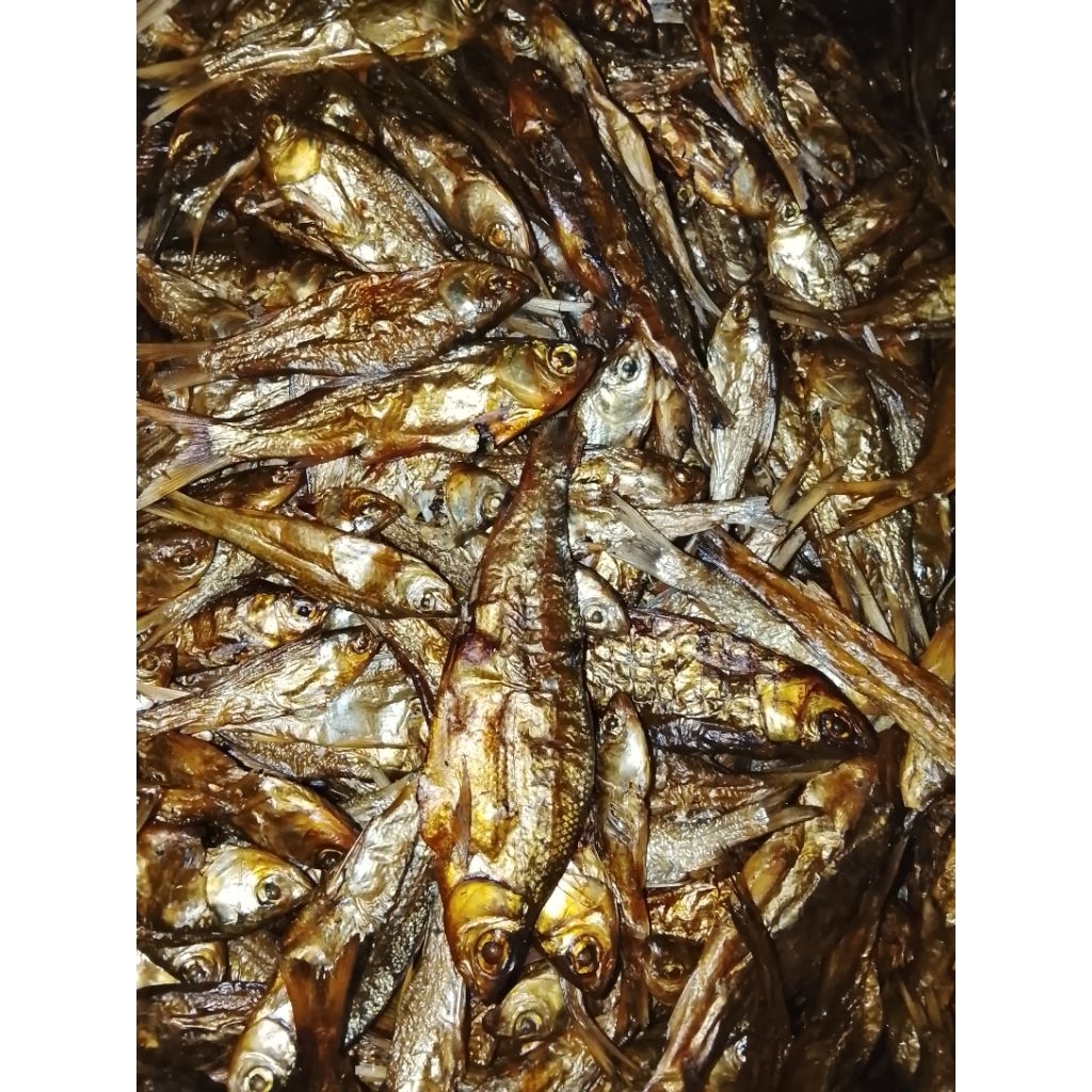 Ikan Salai Motan Premium