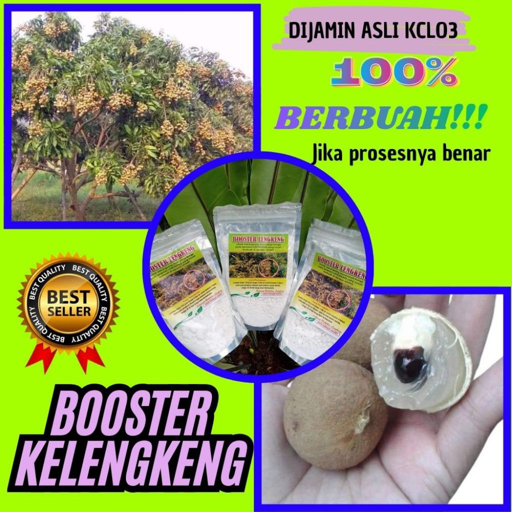 Booster Kelengkeng Kristal, Booster Kelengkeng Murni