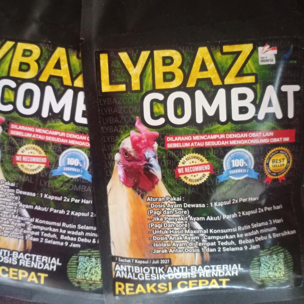 Lybaz Combat