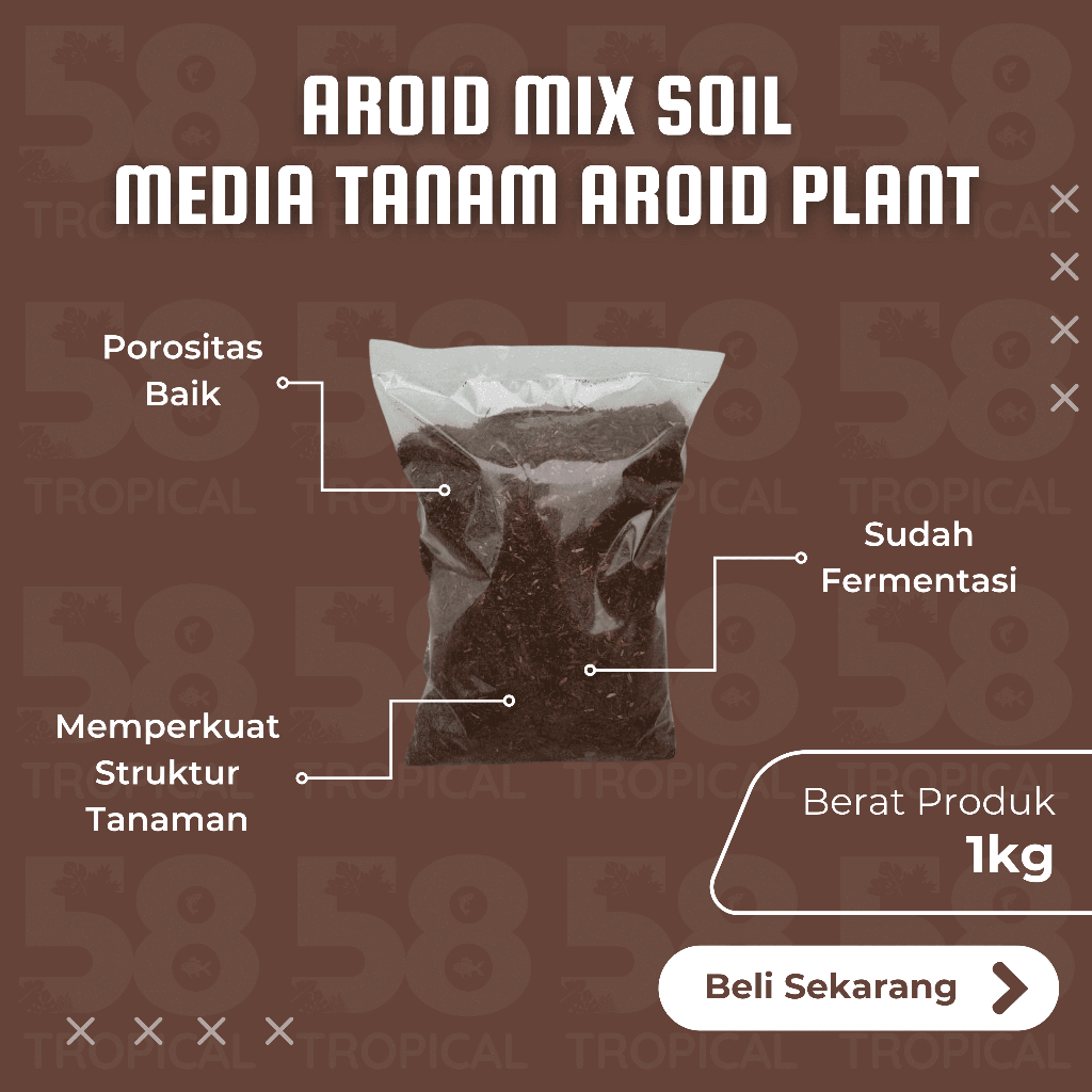 AROID MIX SOIL | MEDIA TANAMAN AROID 1KG