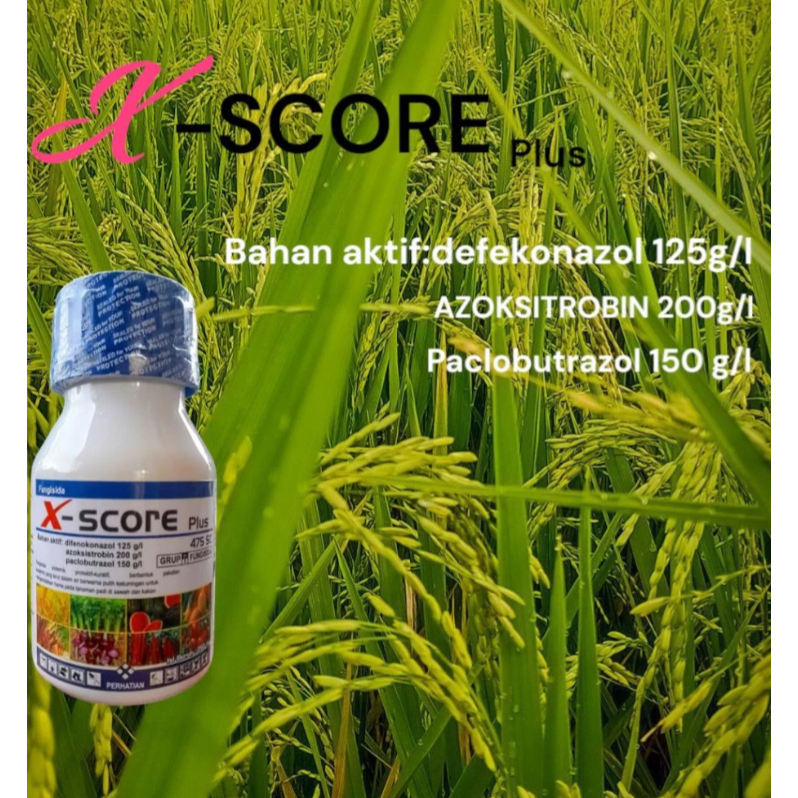 X-score plus 425sc fungsida
