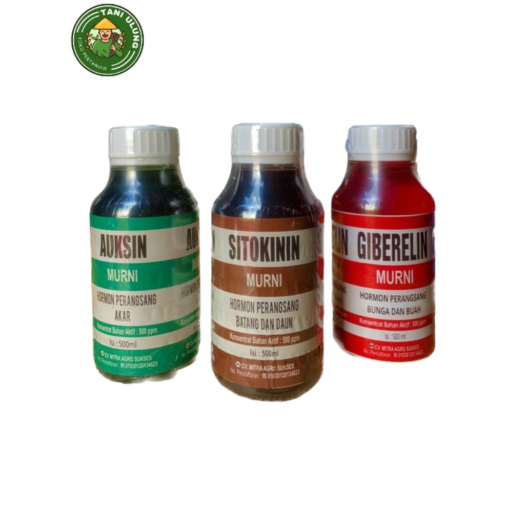 ZPT HORMON MURNI CAIR AUKSIN SITOKININ GIBERELIN 500 ML