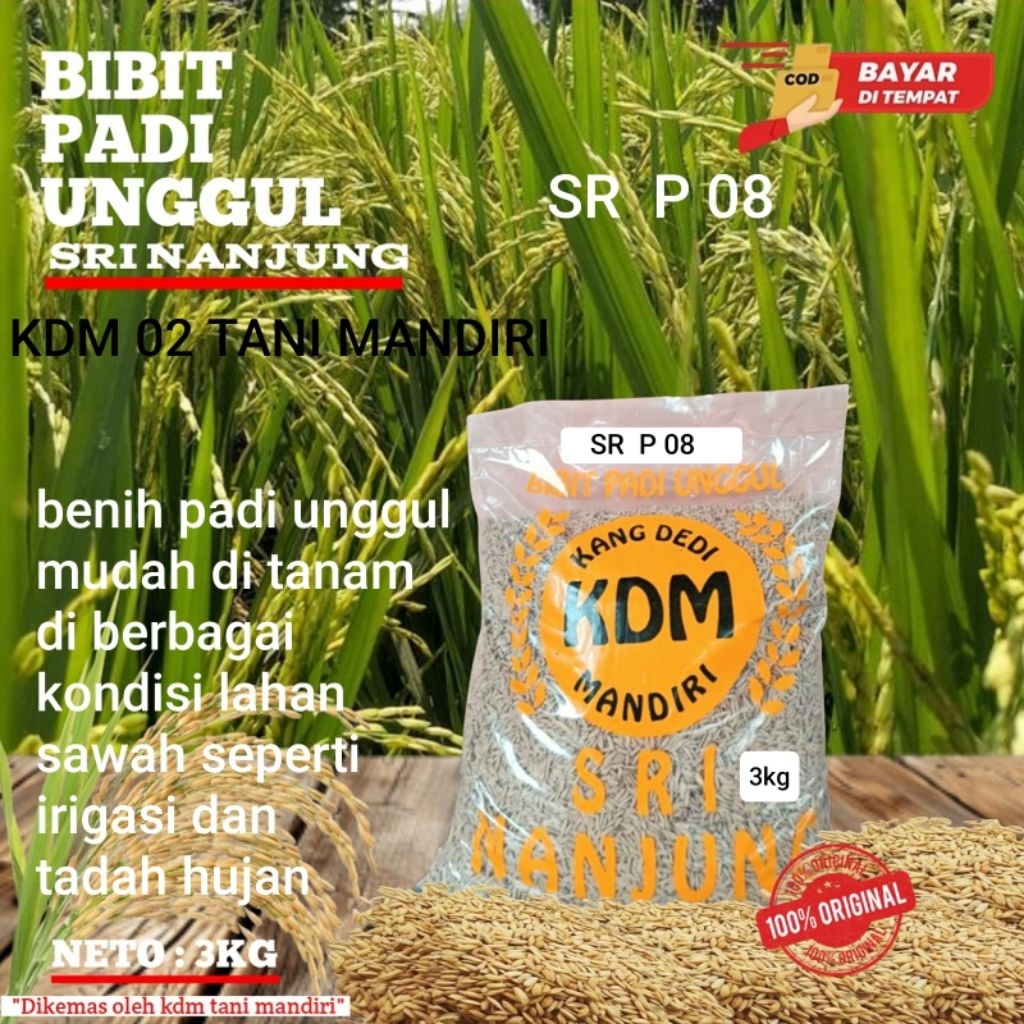 BIBIT PADI SR PO8 KEMASAN 3KG BIBIT ULTRA HENJAH