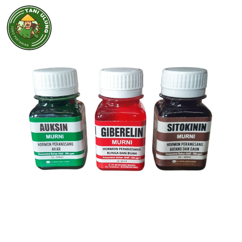 ZPT HORMON MURNI CAIR AUKSIN SITOKININ GIBERELIN 60 ML