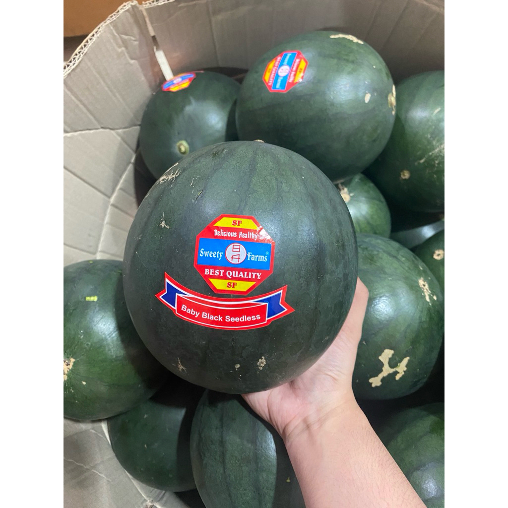 SEMANGKA BABY SEMANGKA MERAH MANIS BANYAK AIR SEEDLESS (biji dikit)