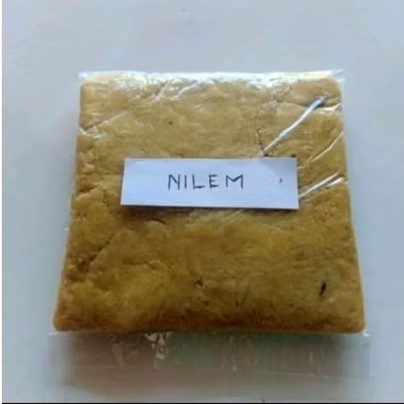 umpan ikan nilem dan wader