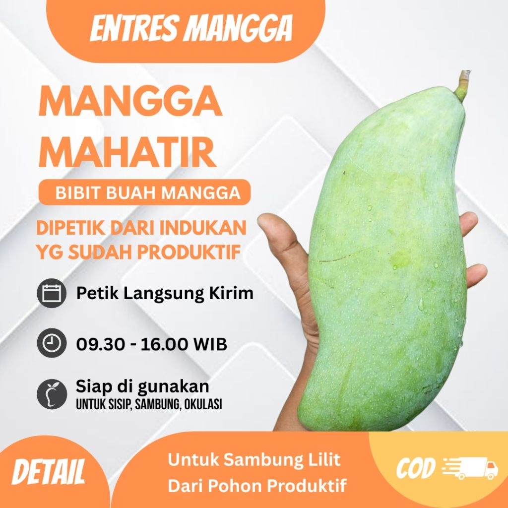 ENTRES MANGGA MAHATIR