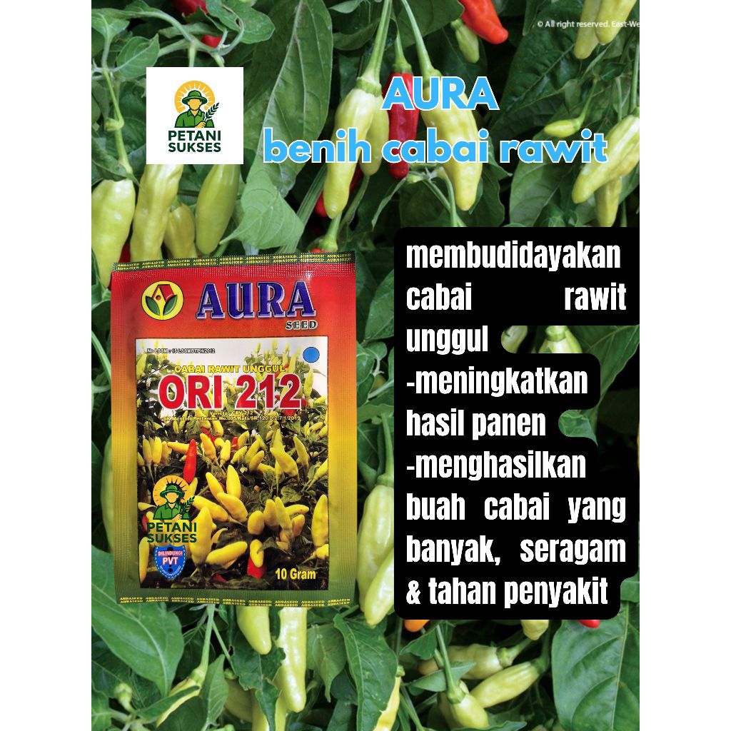 Aura ori 212 benih cabai rawit