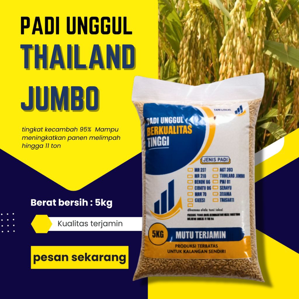 Padi Unggul Thailand Jumbo 5 kg