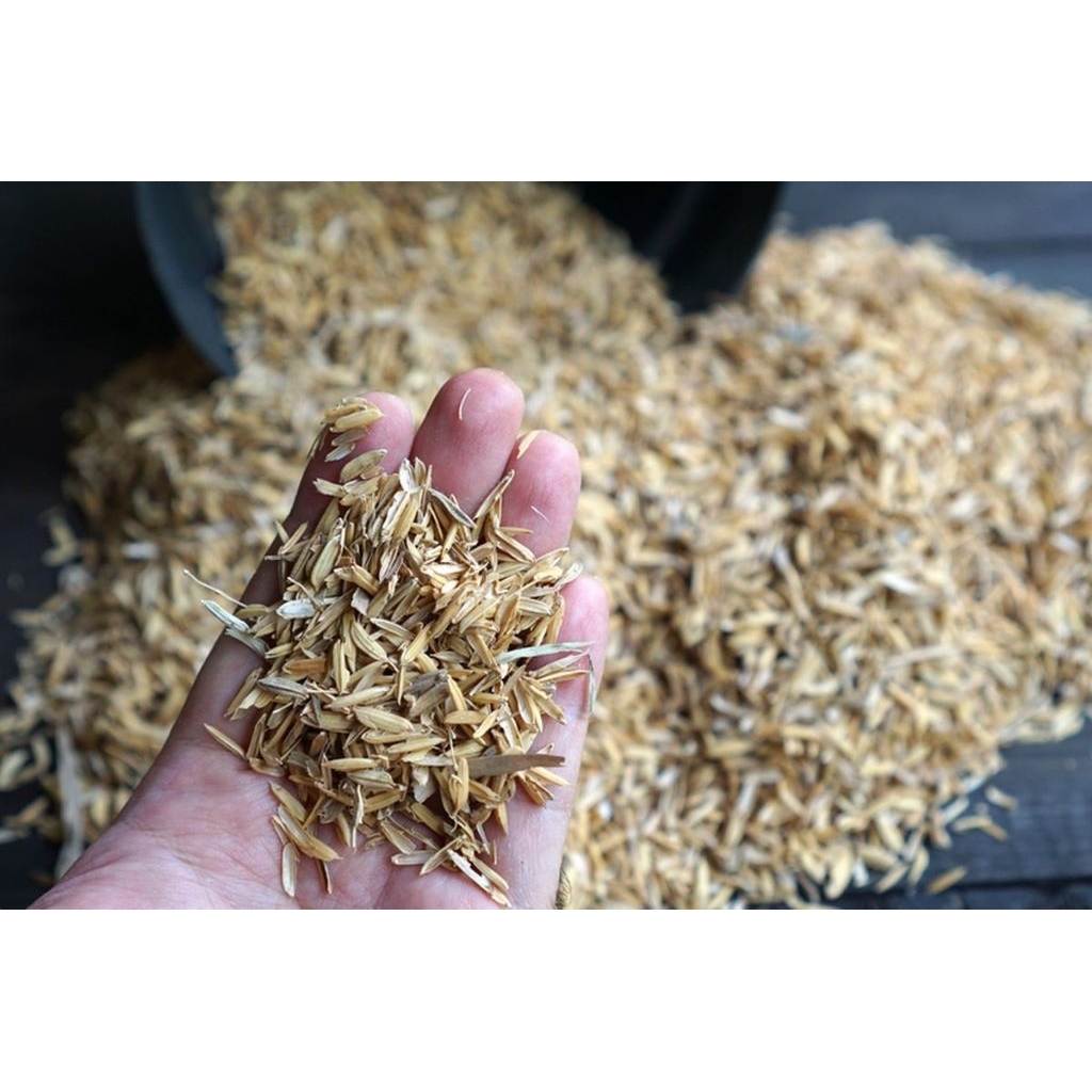 merang padi( kulit padi) 1kg