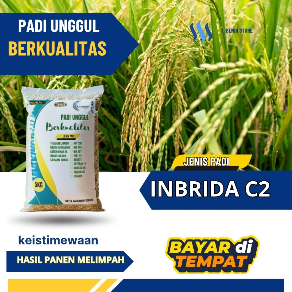 Benih padi unggul INBRIDA C2 5KG
