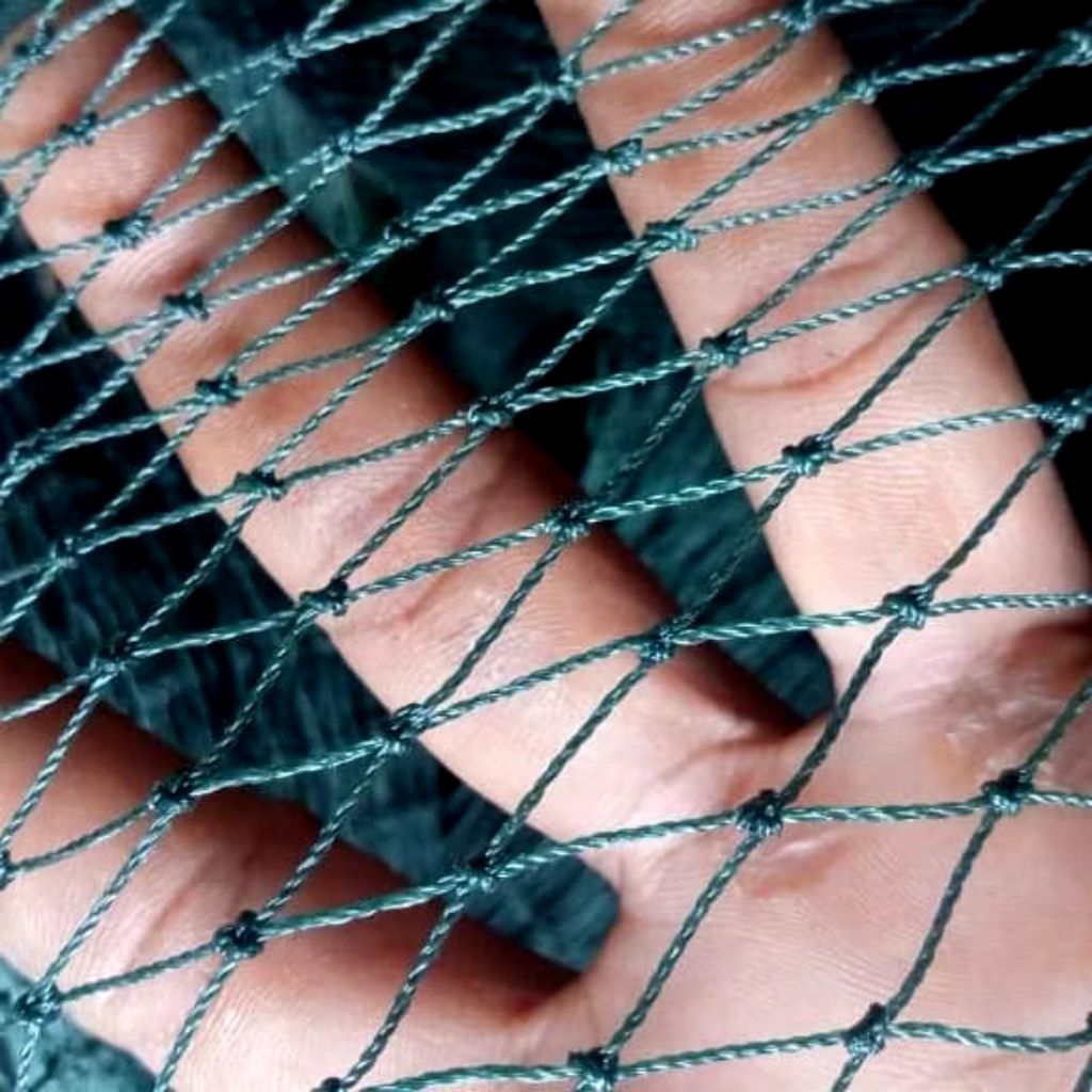 JARING PAGAR AYAM JARING PAGAR TERNAK UNGGAS JARING PAGAR MURAH