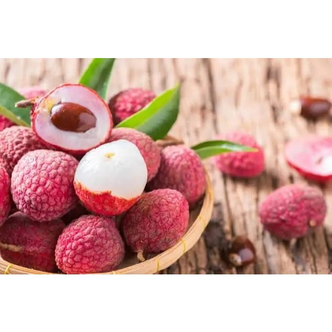 Tanaman Leci 1 METER UP BATANG BESAR