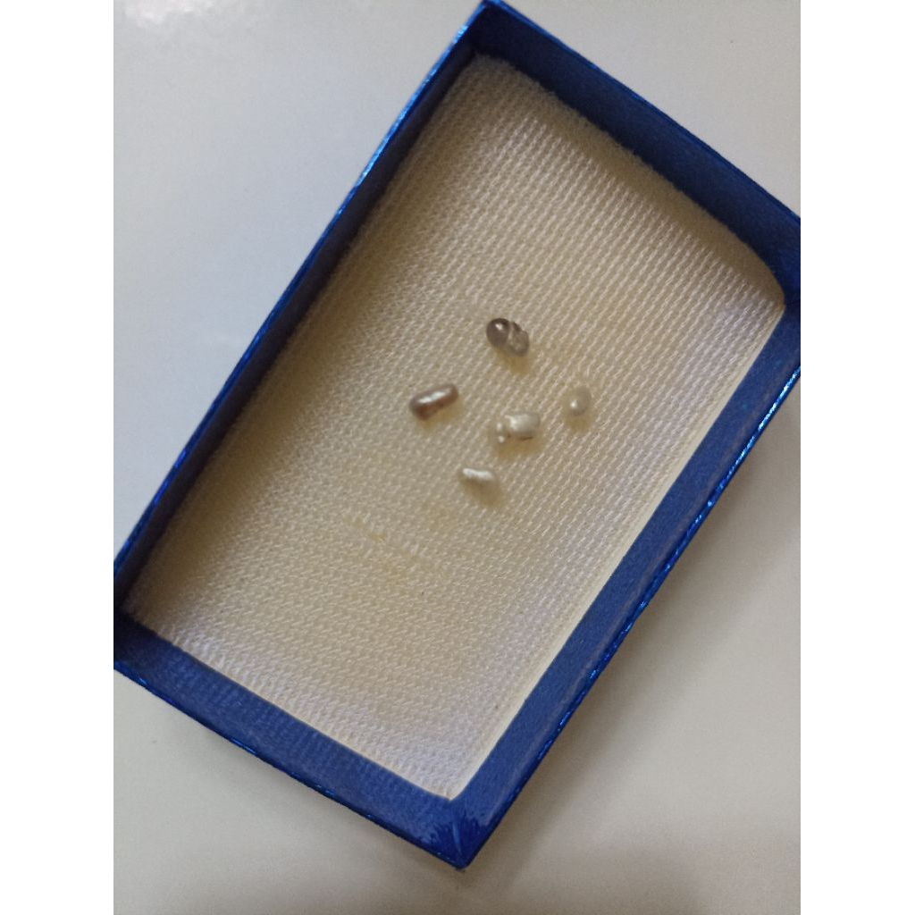 Mutiara Air Laut Asli Kepulauan Maluku