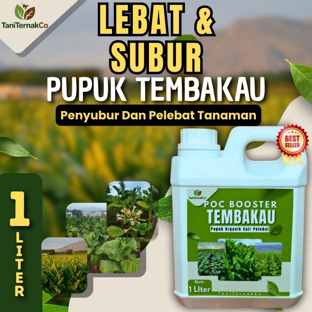 Pupuk Tembako  Pelebat Daun & Penguat Batang – Perangsang Pertumbuhan Cepat Panen Melimpah