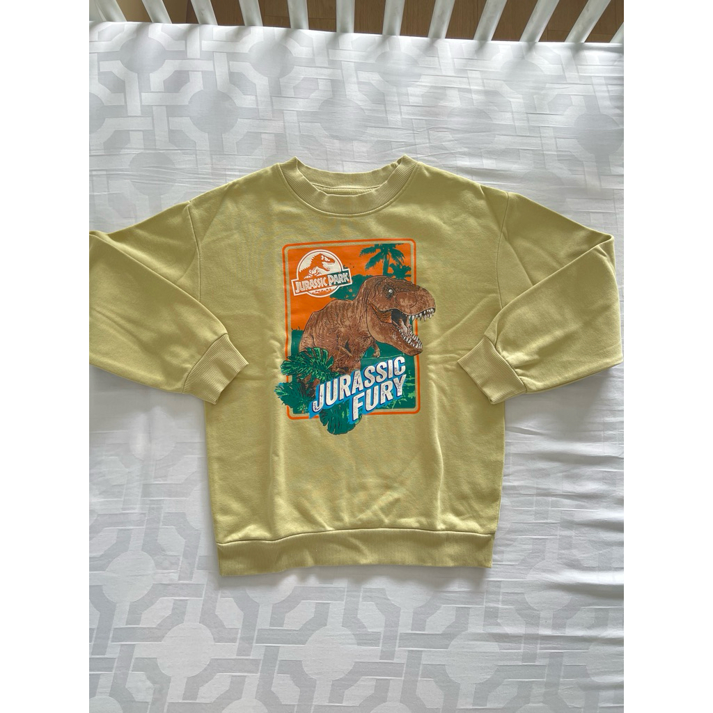Preloved H&M Jurassic Park Sweater