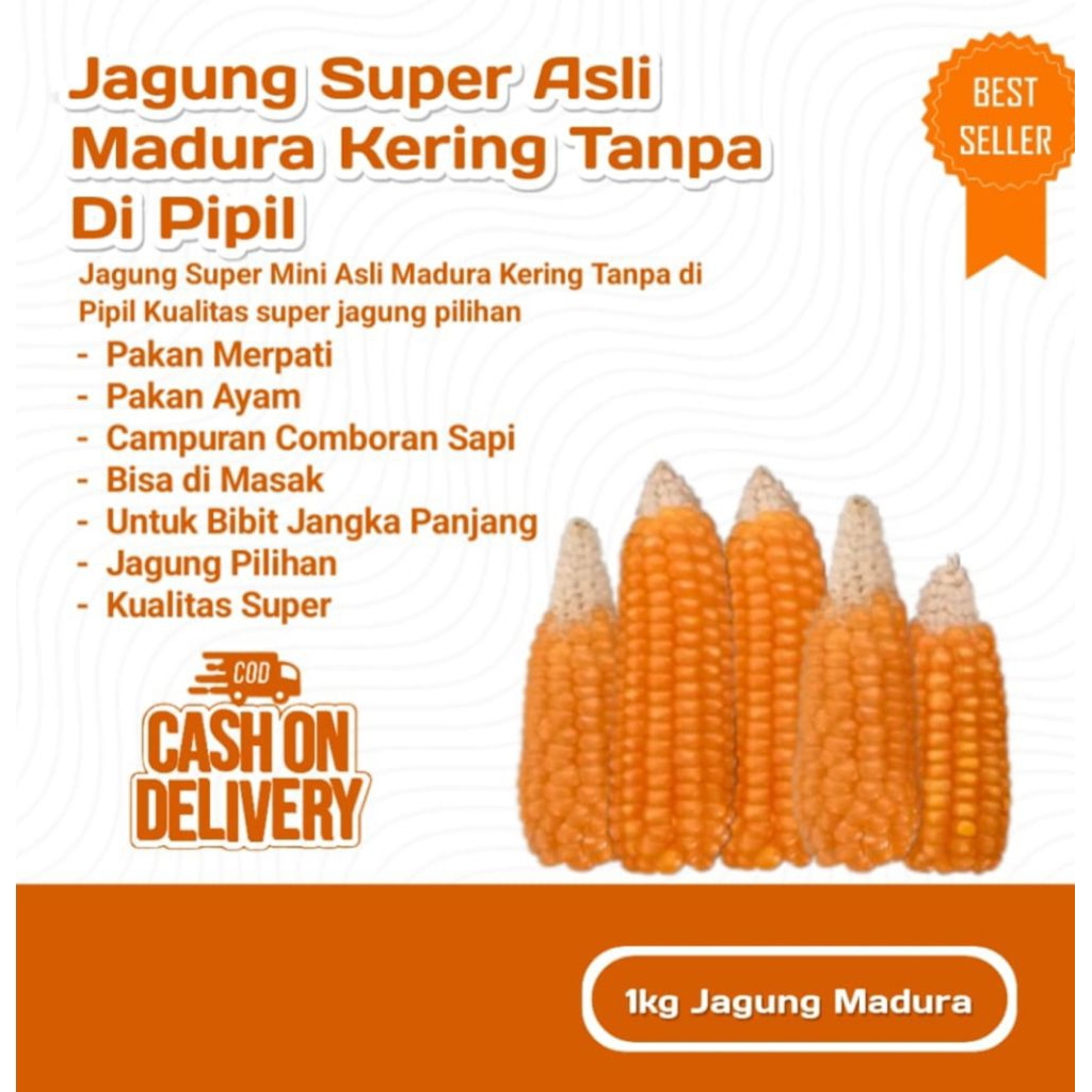 JAGUNGMADURA ASLI JAGUNG JAGUNG MADURA BIBIT JAGUNG MADURA KECIL JAGUNG MADURA BURUNG MERPATI