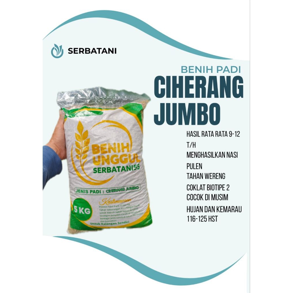 BENIH PADI CIHERANG JUMBO 5 KG