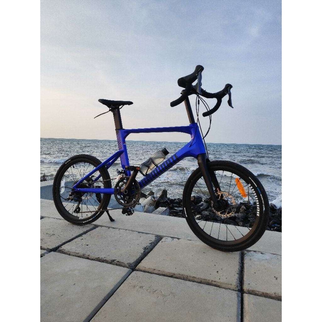 sepeda minivelo dominate rapide comp CARBON