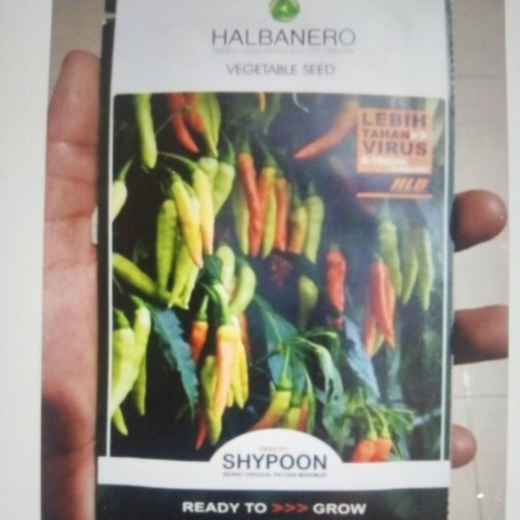 Bibit Cabe Rawit SHYPOON 2 - Benih Cabai Shypon shipon sypon sipon crm