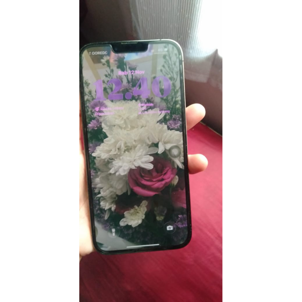 Iphone apple 13 promax