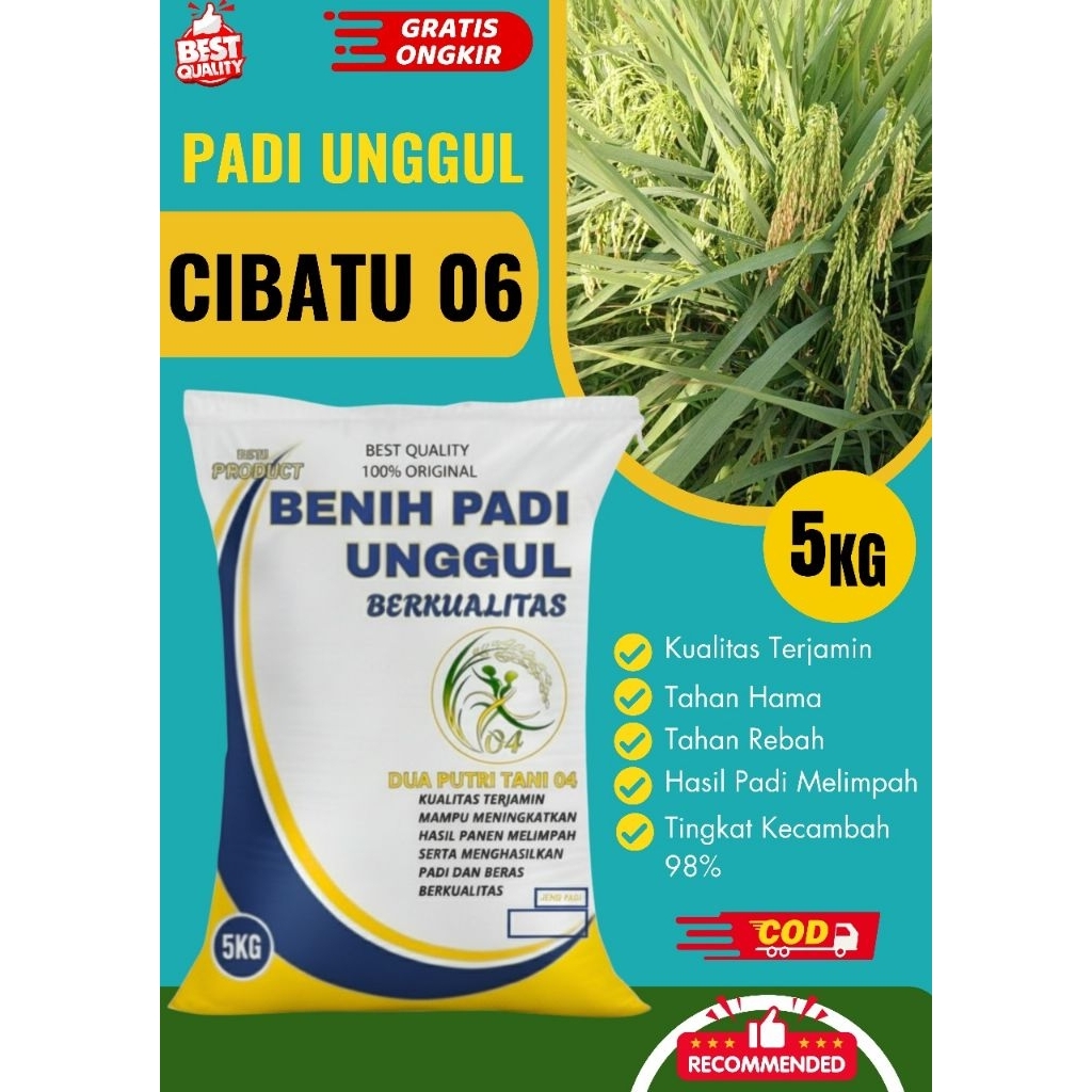 Benih padi unggul cibatu 05 kemasan 5Kg