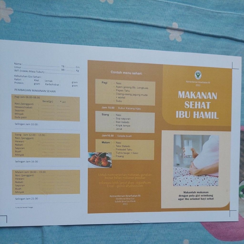 leaflet makanan sehat ibu hamil kemenkes ri 2011