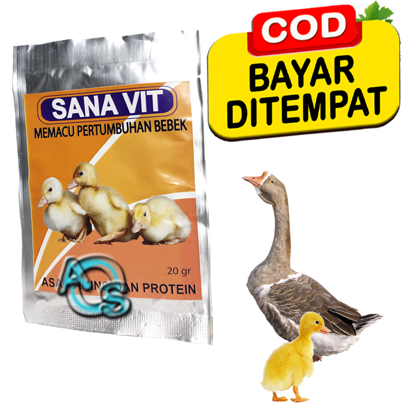 Vitamin Anak Bebek Masa Pertumbuhan Angsa Penggemuk Nafsu Makan Ana Vit Asam Amino