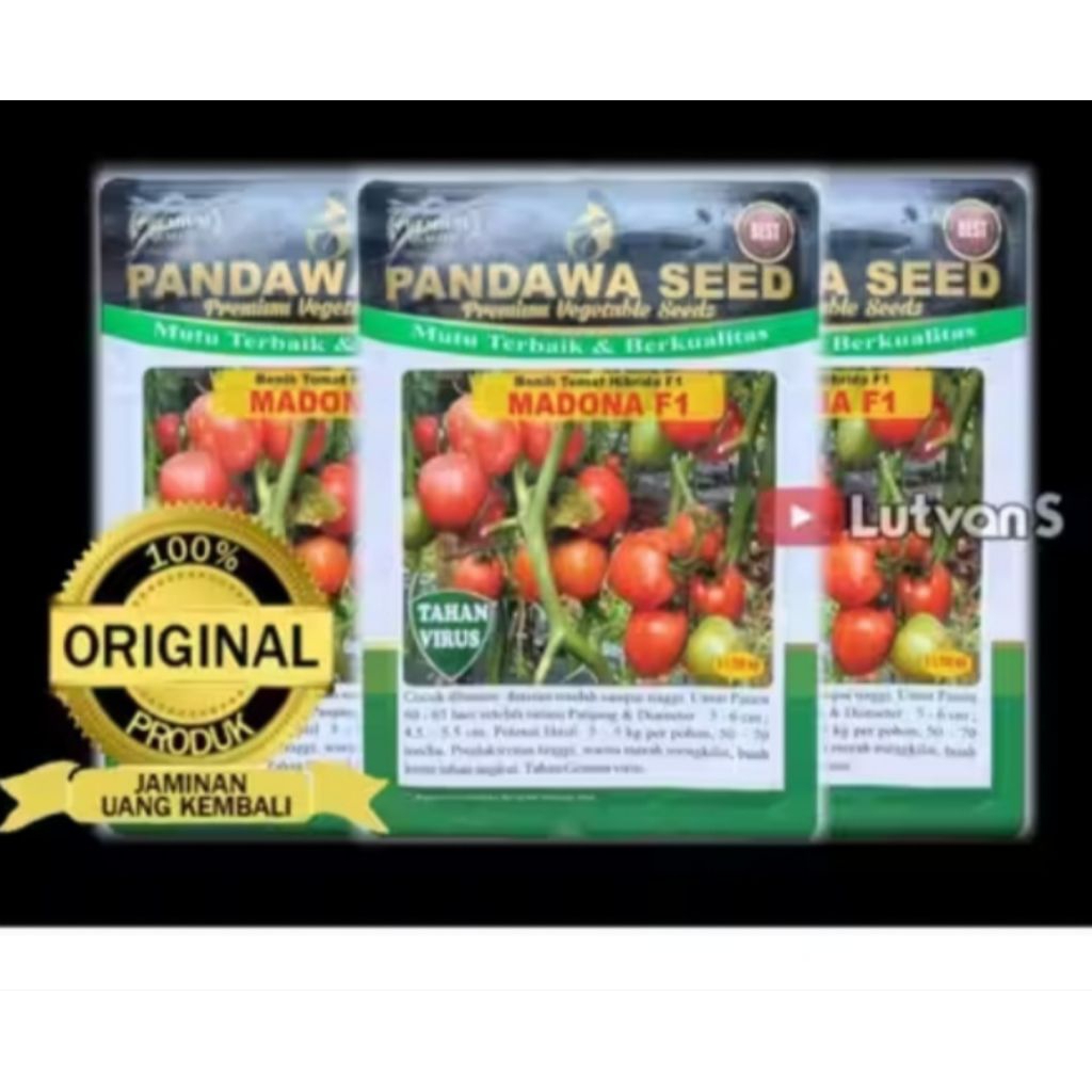 benih tomat madona f1 10gr