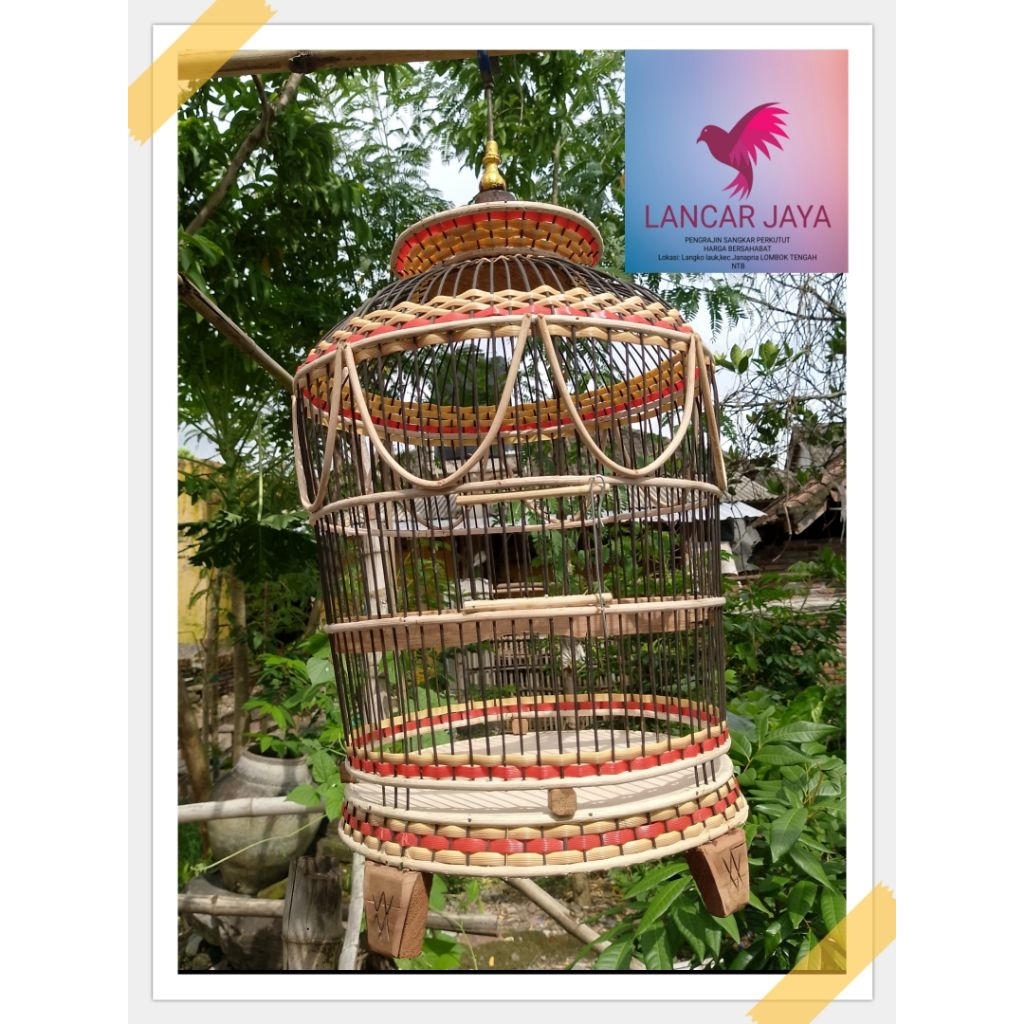 SANGKAR JEMUR PERKUTUT