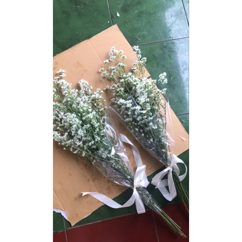 Buket Pikok / Pikok Fresh / Pikok Bouquet / SIAP KIRIM JOGJA