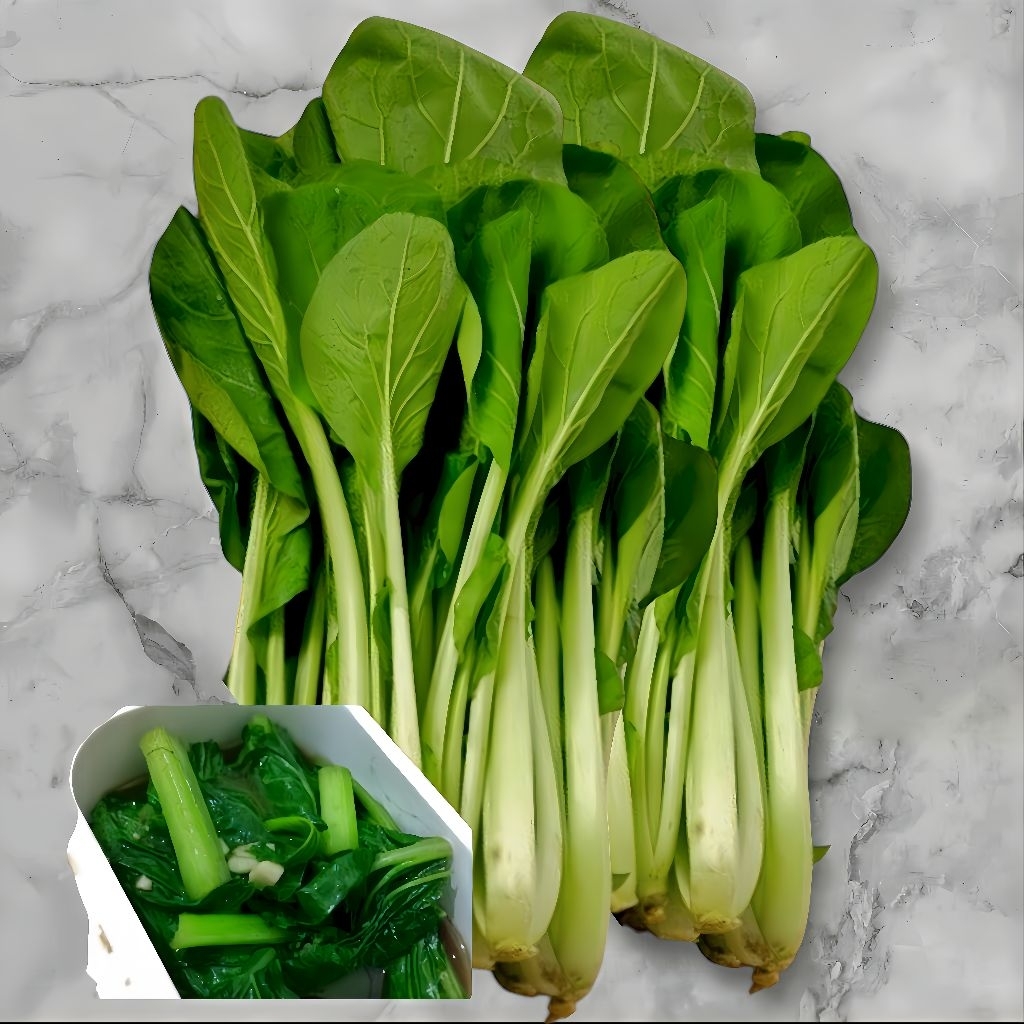 Benih Sawi Caisim Jumbo Benih Sawi Caisim Hijau