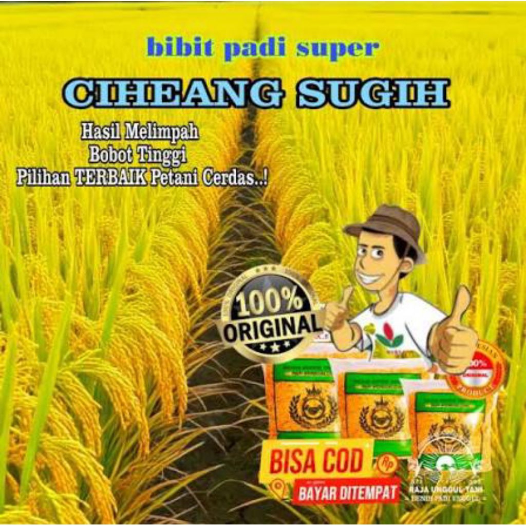 Benih padi unggul CIHERANG SUGIH original 1KG