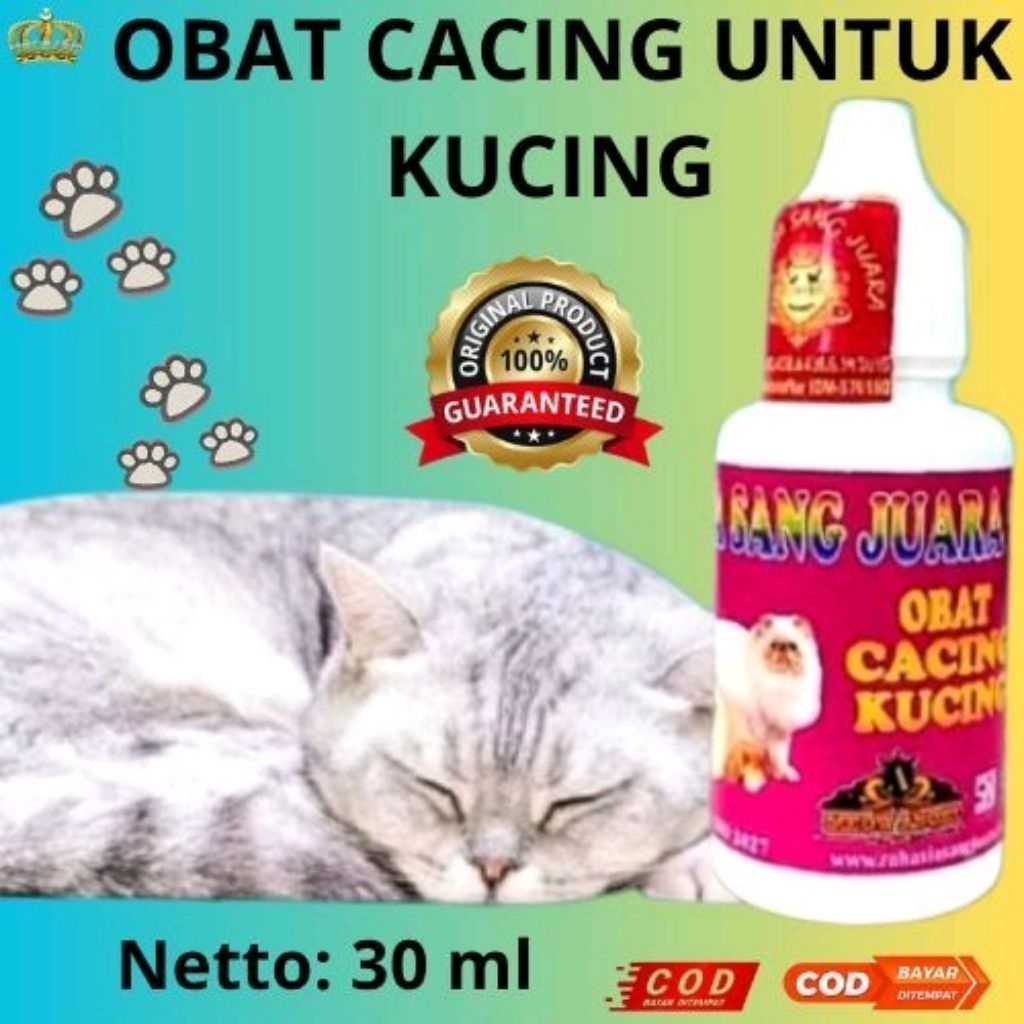 OBAT CACING KUCING KITTEN & DEWASA AMPUH