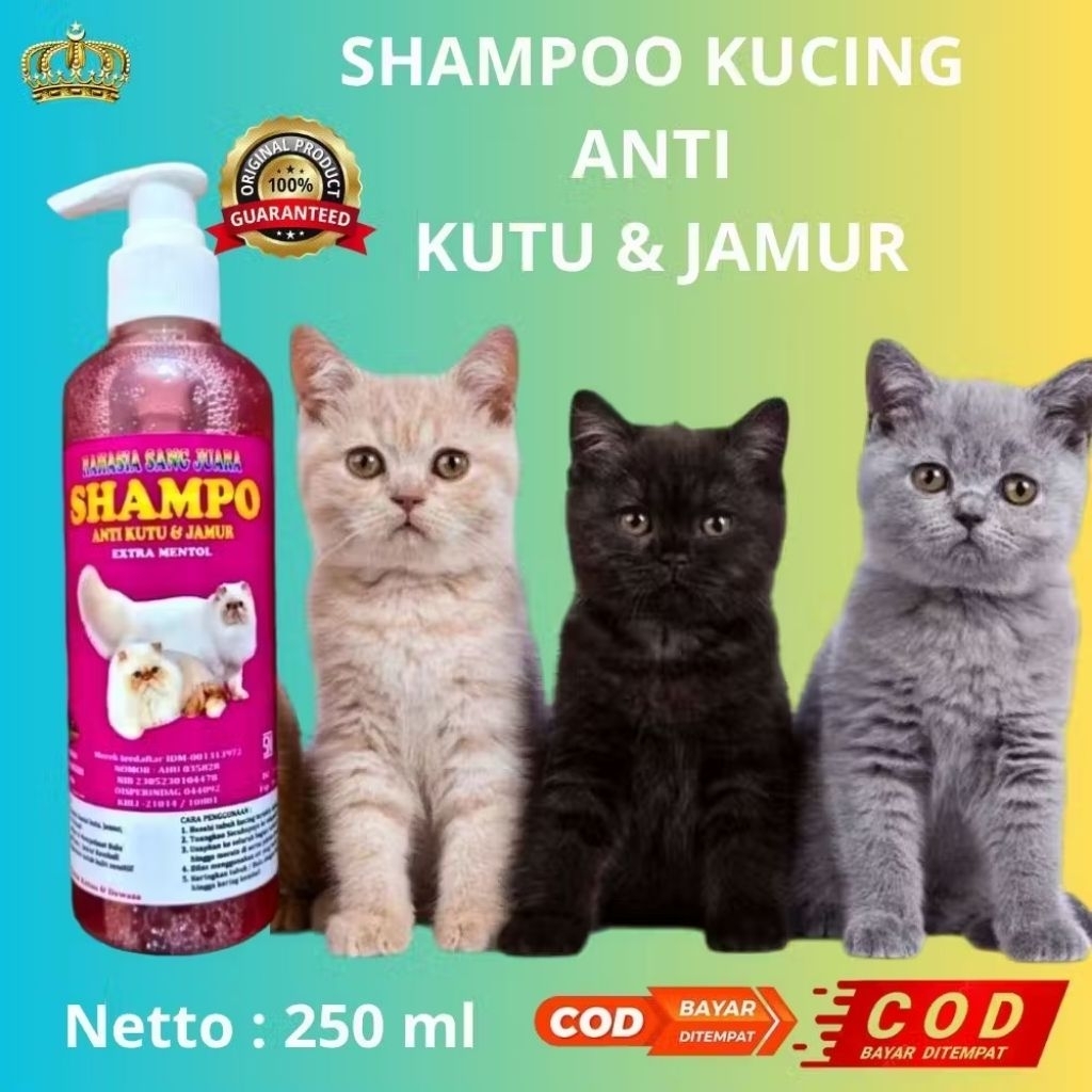 SHAMPO KUCING ANTI KUTU DAN JAMUR