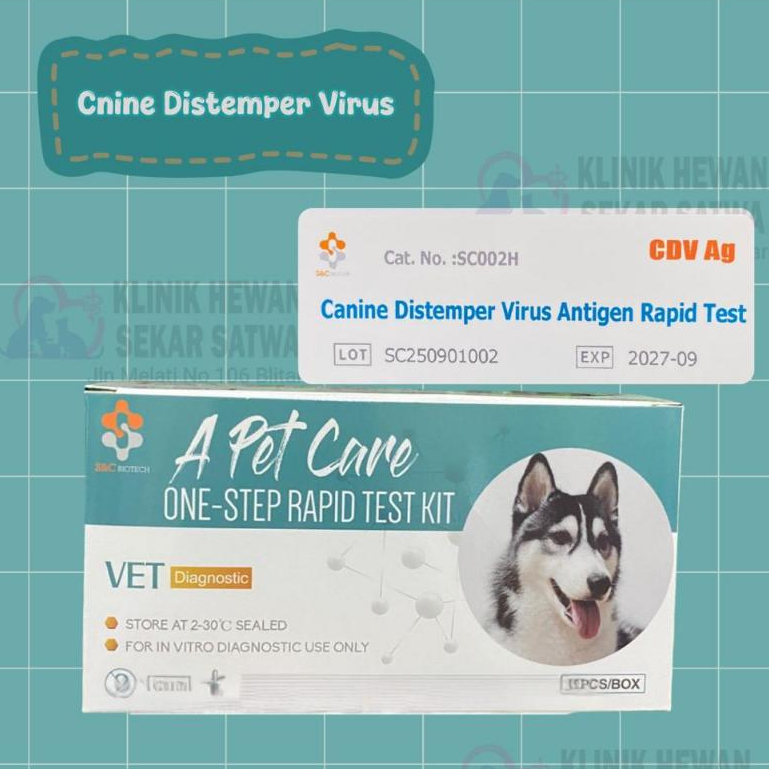 Rapid Test Kit A Pet Care CDV (Canine Distemper Virus) Antigen rapid